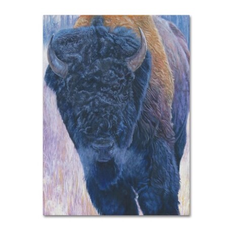 Rusty Frentner 'Bull' Canvas Art,24x32